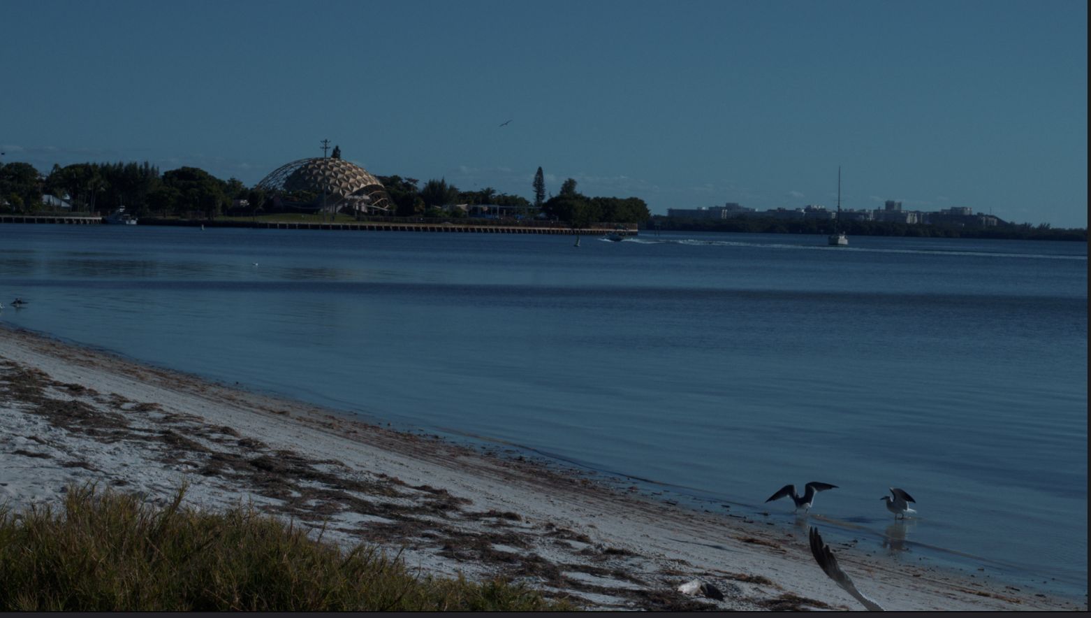 After color grading — graded